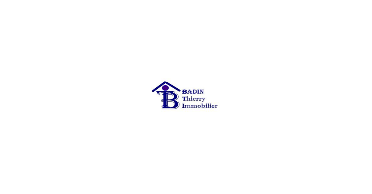 Logo de l'agence BADIN Thierry Immobilier
